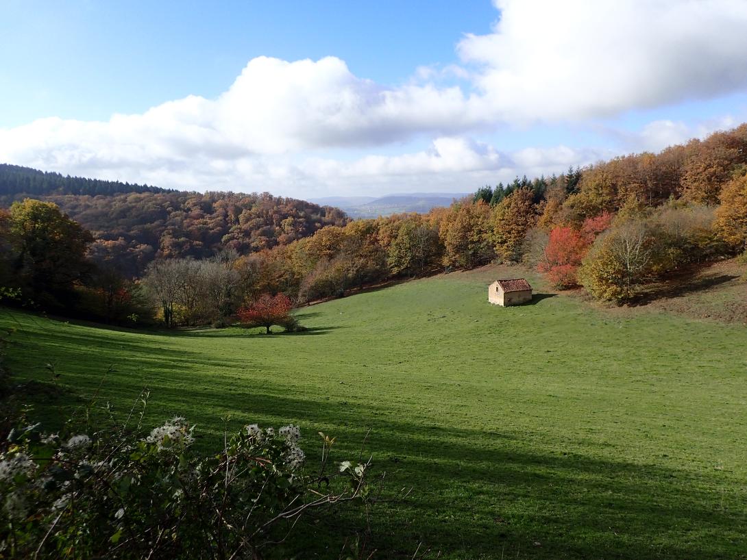 Bocage Forêt